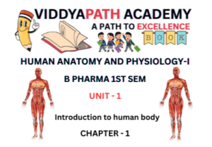 Read more about the article ANATOMY AND PHYSIOLOGY | INTRODUCTION TO HUMAN BODY
