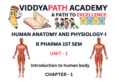 Read more about the article ANATOMY AND PHYSIOLOGY | INTRODUCTION TO HUMAN BODY