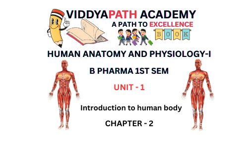 Read more about the article BASIC LIFE PROCESSES | HOMEOSTASIS | ANATOMICAL TERMINOLOGY
