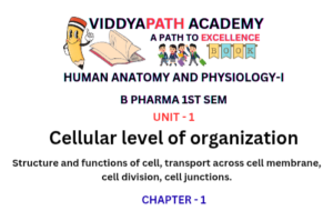 Read more about the article Structure and Functions of Cell | Transport, Division & Junctions