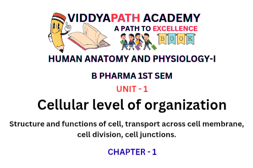 Read more about the article Structure and Functions of Cell | Transport, Division & Junctions