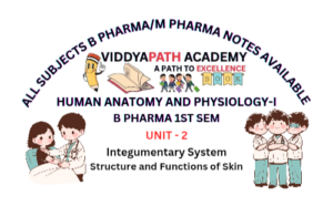 Read more about the article Integumentary System: Structure and Functions of Skin